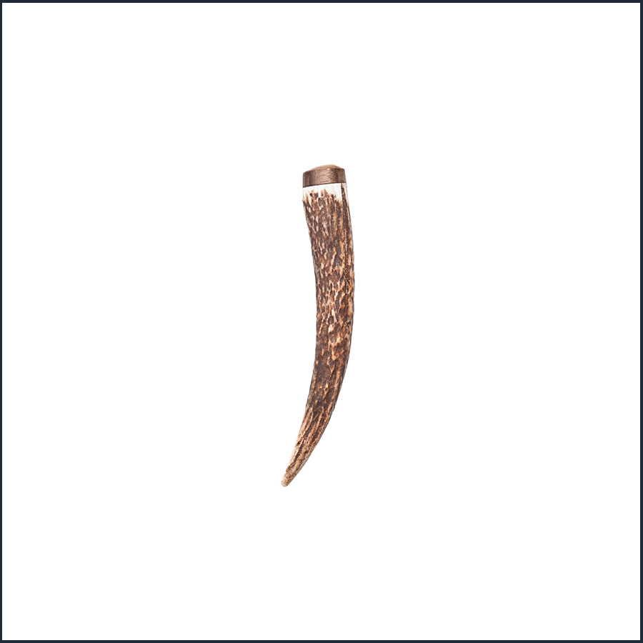 Stag horn Antler with walnut cap kilt pin