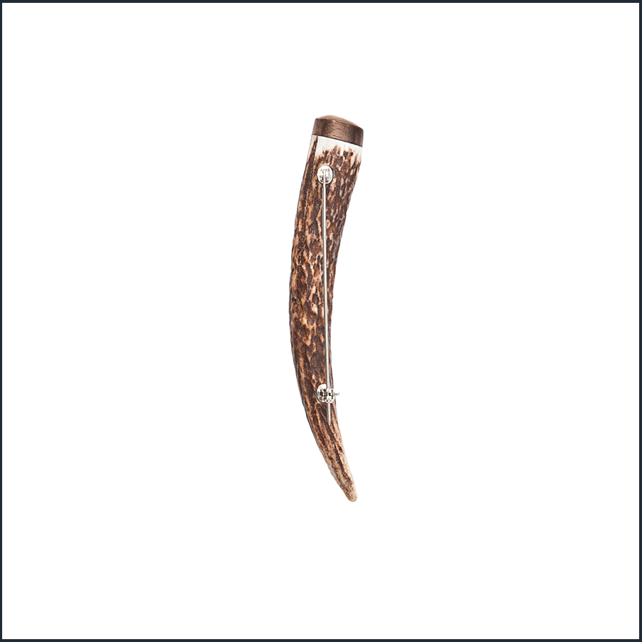 Stag horn Antler with walnut cap kilt pin back view