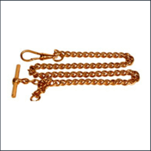 Watch Albert Gold‑Plated Small Curb Chain